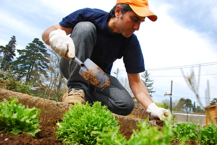 Gardening For Nutrition